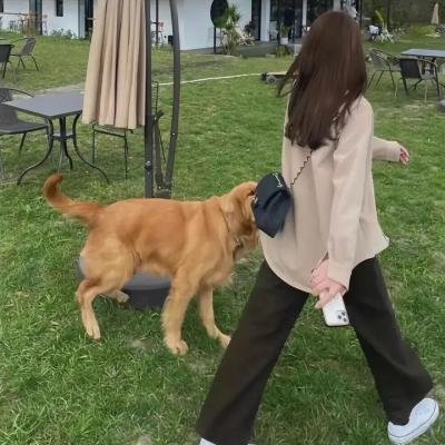 烈探粤语